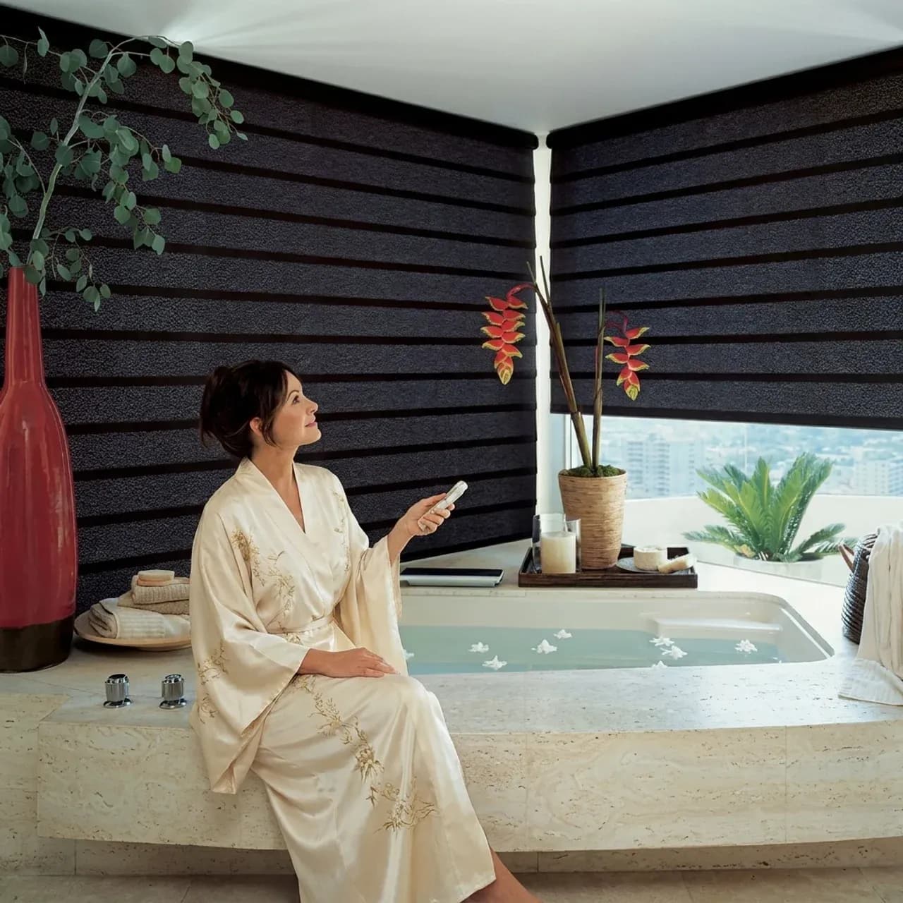Motorized Shades